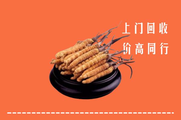 高价求购：淮上区回收散虫草