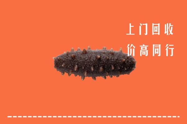 高价求购：淮上区回收海参