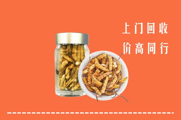 淮上区回收冬虫夏草