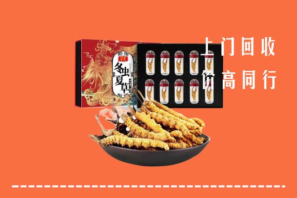 淮上区回收虫草